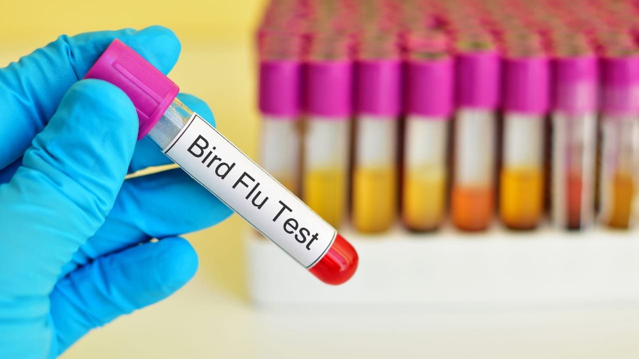 “Border Patrol: Tamil Nadu Takes Flight against Bird Flu Outbreak”